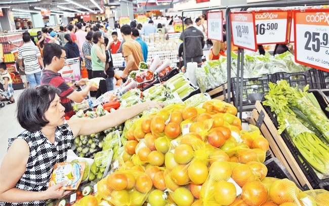 Thành phố Hồ Chí Minh thực hiện chương trình bình ổn thị trường, đảm bảo an sinh xã hội - ảnh 2